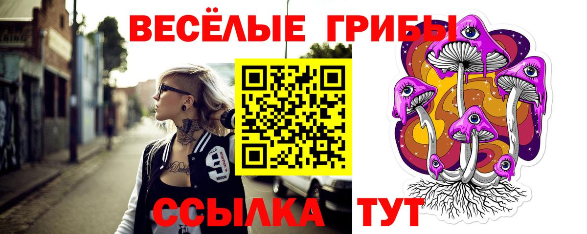 где купить наркоту  Псилоцибиновые грибы GOLDEN TEACHER  Вход с VPN  Качканар 